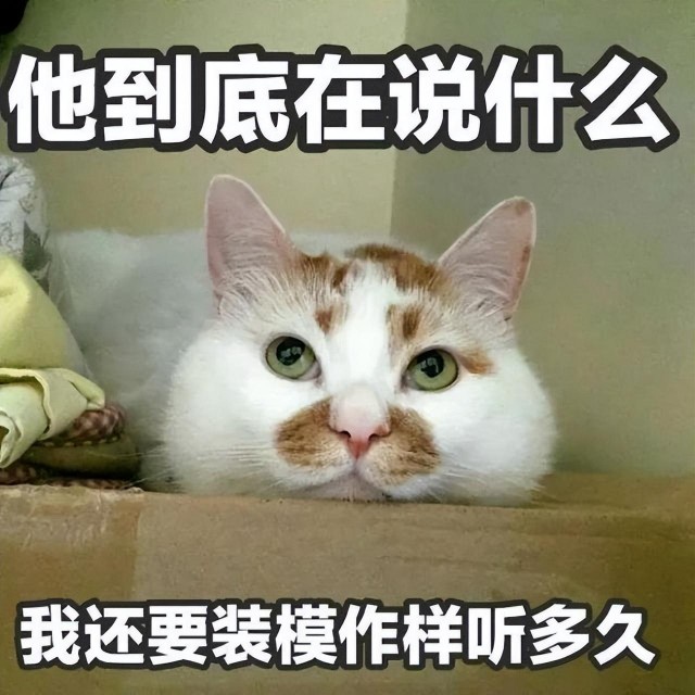 提高知识：“健康养猫”需要注意这8点，很多人忽略了！