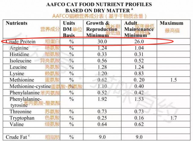上养猫必看！教您如何看懂猫粮表再也不用担心猫咪营养不良